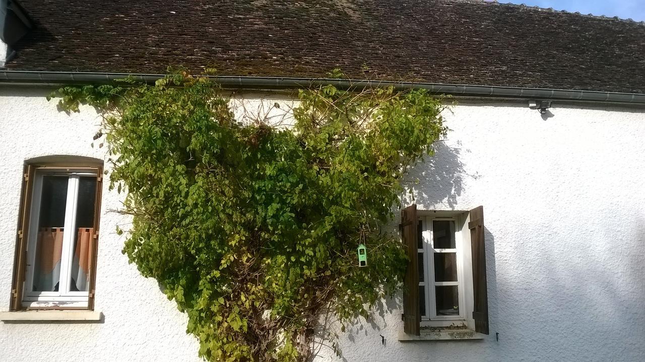 Le Hameau Aux Escargots Bed & Breakfast Bernon Cameră foto